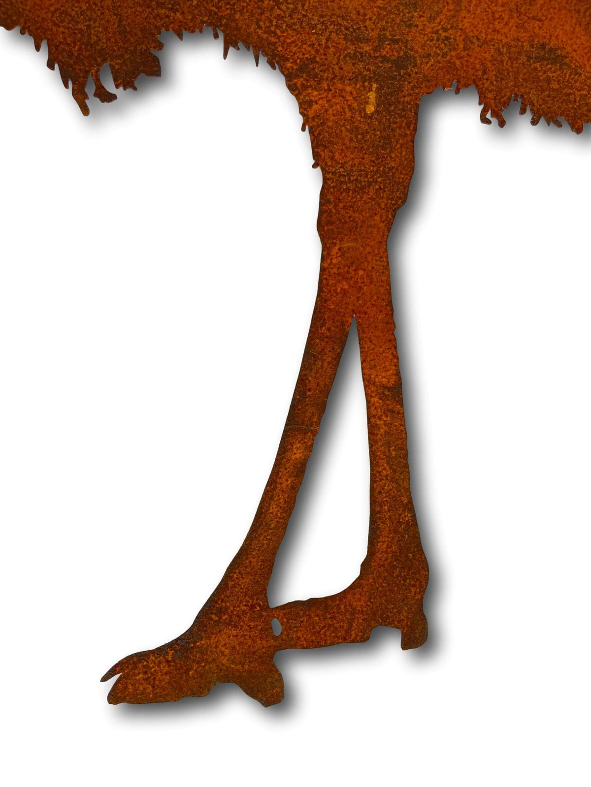 Rustic Emu Wall Art - Laser Cut Metal Art