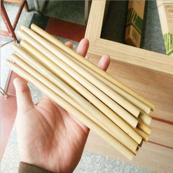 10-Pack Organic Bamboo Drinking Straws - Reusable &amp; Sustainable - Island Buddha